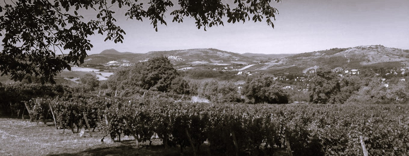 Domaine des Trouillères