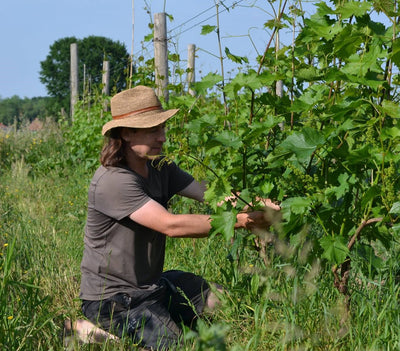 A moment with Tom, Antidoot Wilde Fermenten