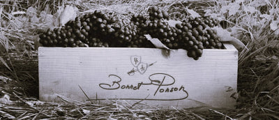 Bonnet Ponson