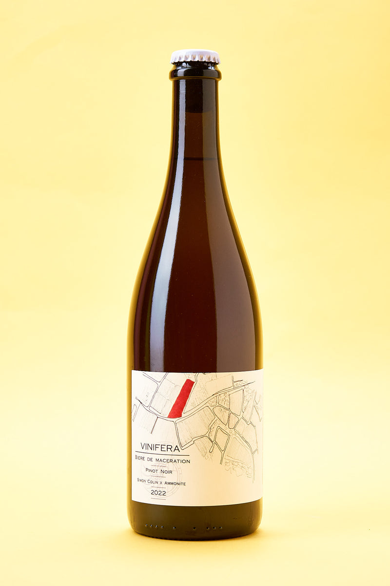 Brasserie Ammonite - Vinifera Pinot Noir 2022 - bière artisanale