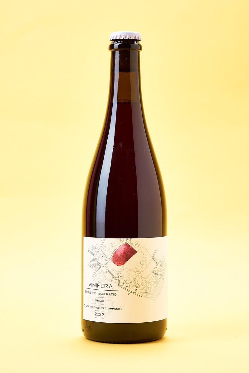 Brasserie Ammonite - Vinifera Syrah 2022