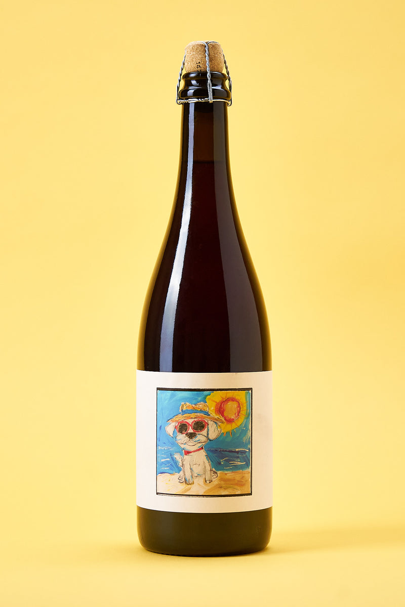 Popihn Sauvages - Gamay 2023 - bière sauvage